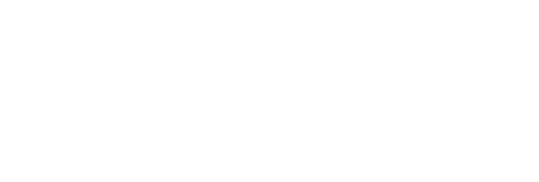 Revolution Wings